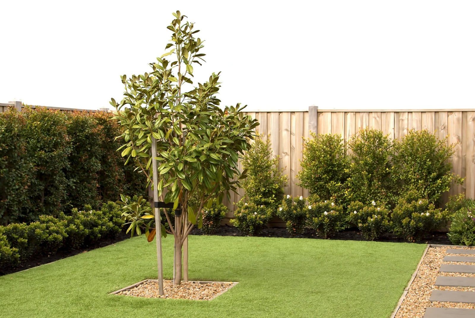 artificial turf installation in Paradise Valley, AZ