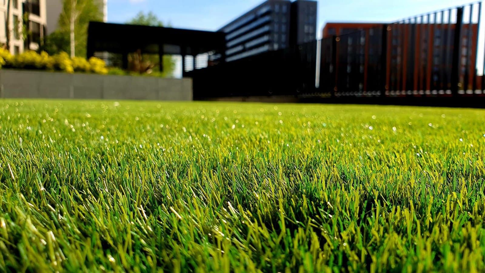 lush greenery in front of a school building in Scottsdale AZ